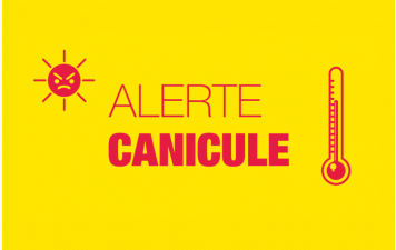 Cours et Séances "découverte" annulés